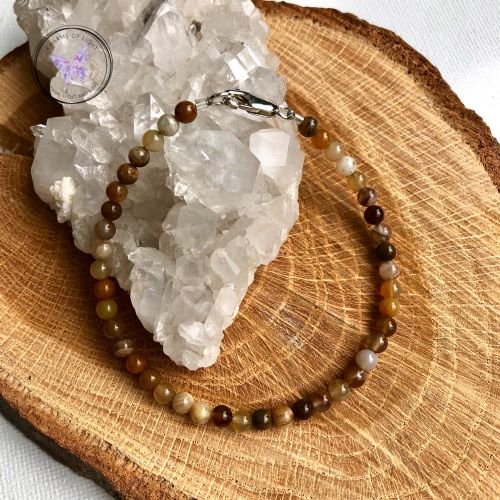 Petrified Wood Beaded Bracelet